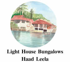 Lighthouse Bungalows