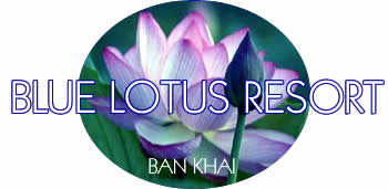 Blue Lotus Resort