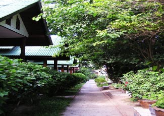 BUNGALOWS SET IN PLENTIFUL GARDEN