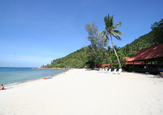 ATTRACTIVE BEACH