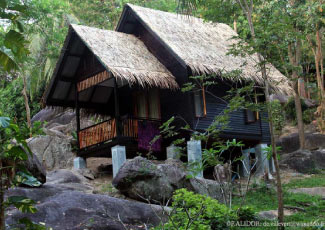 Superior Garden Bungalow