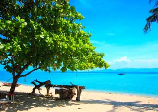 Relax on the beach