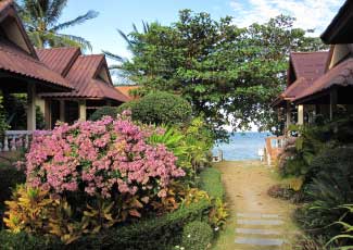 BUNGALOW AT JUNGLE HUT