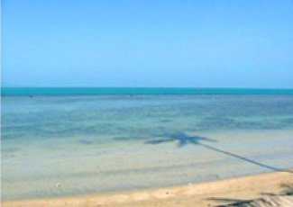 BEACH VIEW OF THE RESORT