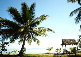 BEACH VIEW AT MY PHANGAN RESORT