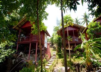 WOODEN FAN BUNGALOW