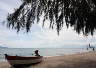 The Beach in front of the bungalow