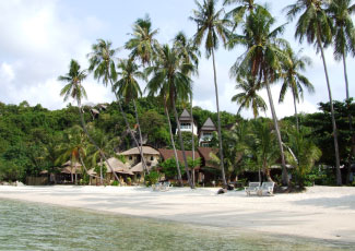 Take a Walk and Relax on the Beach