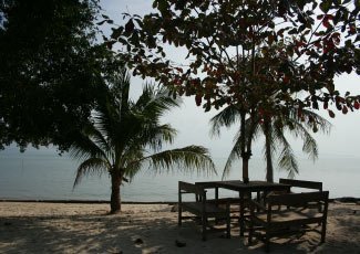 Chill on the Beach