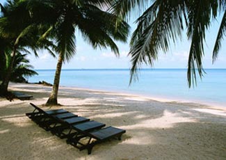 Beachfront Sunbeds