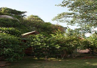 Bungalow in the garden