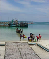 Chaloklum Village - Fishing fresh squid