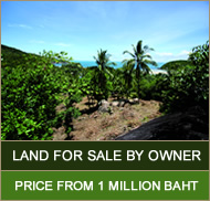 Land For Sale Koh Phangan
