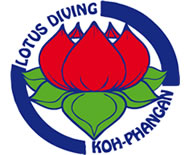 Lotus Dive Resort